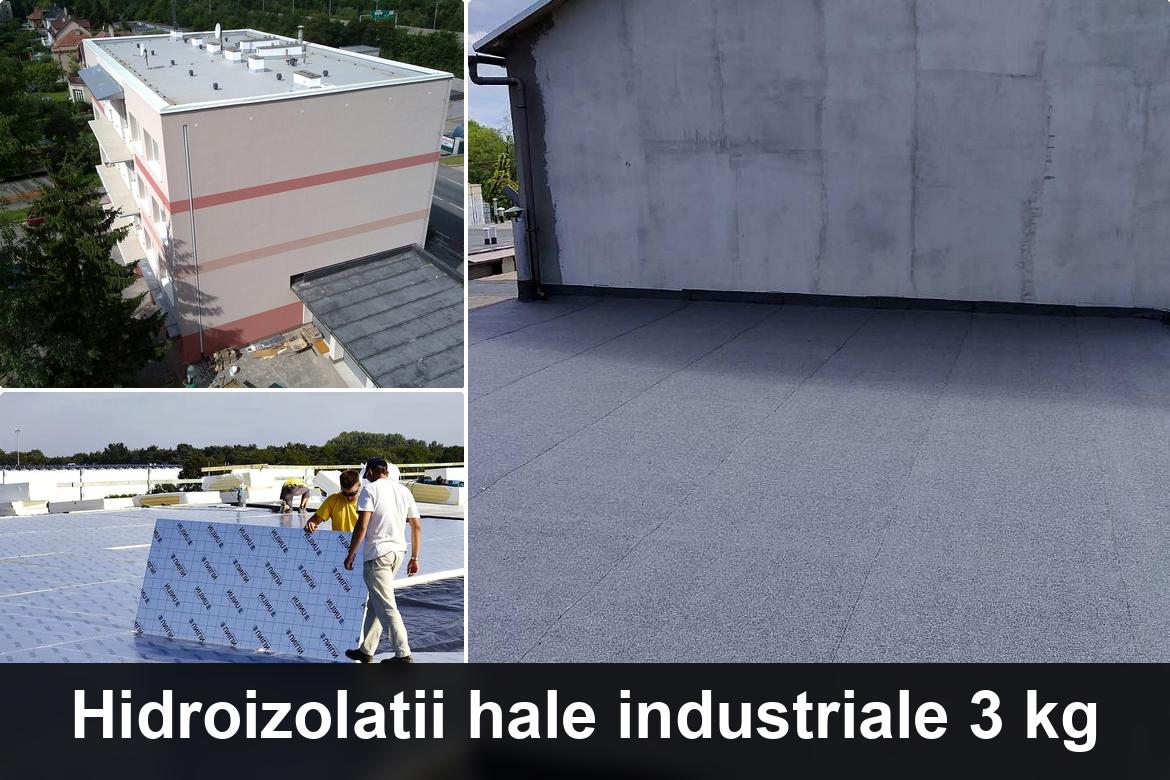 detaliu hidroizolatie terasa termosudabila