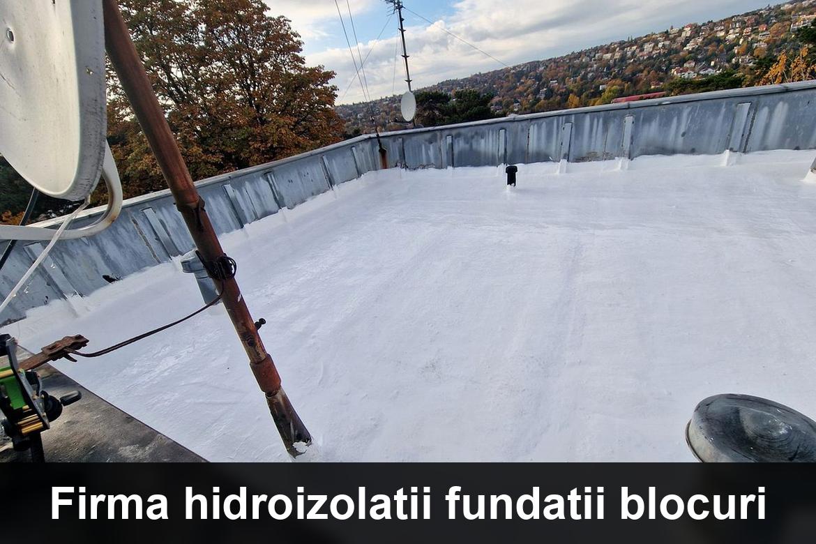 hidroizolatii terase epureni