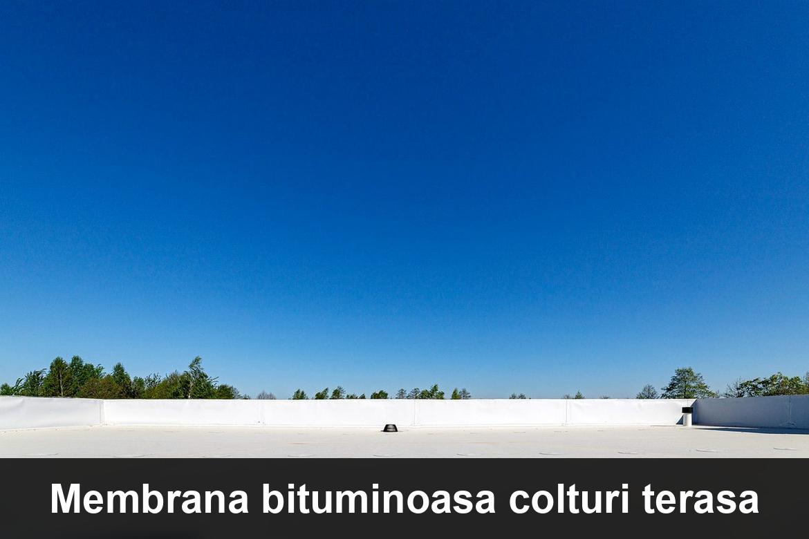 hidroizolatii terase gruia