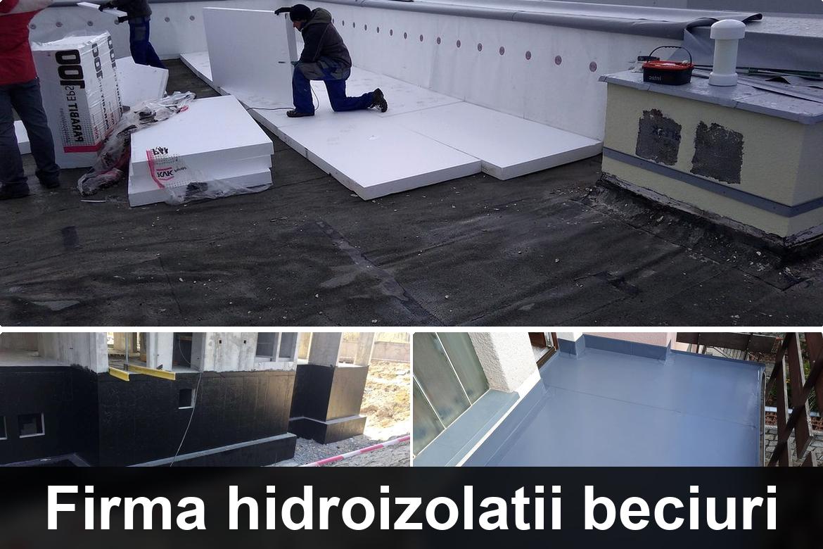 hidroizolatii terase gura vitioarei