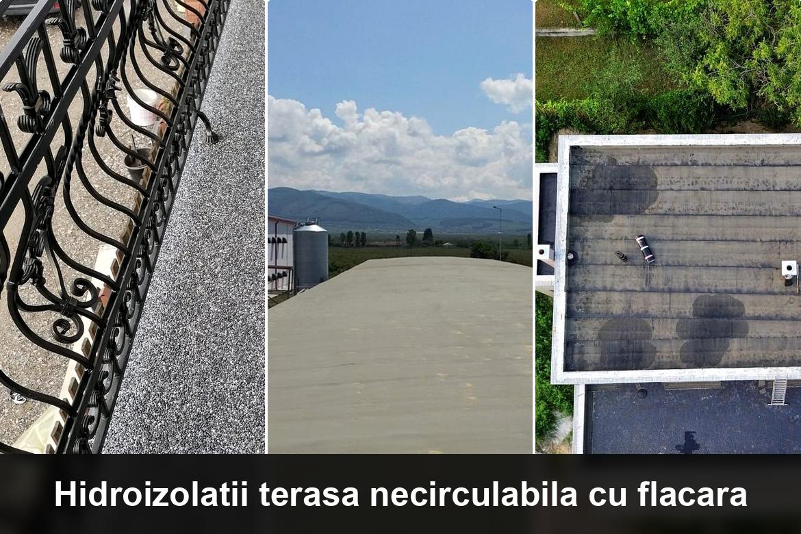 hidroizolatii terase lechinta