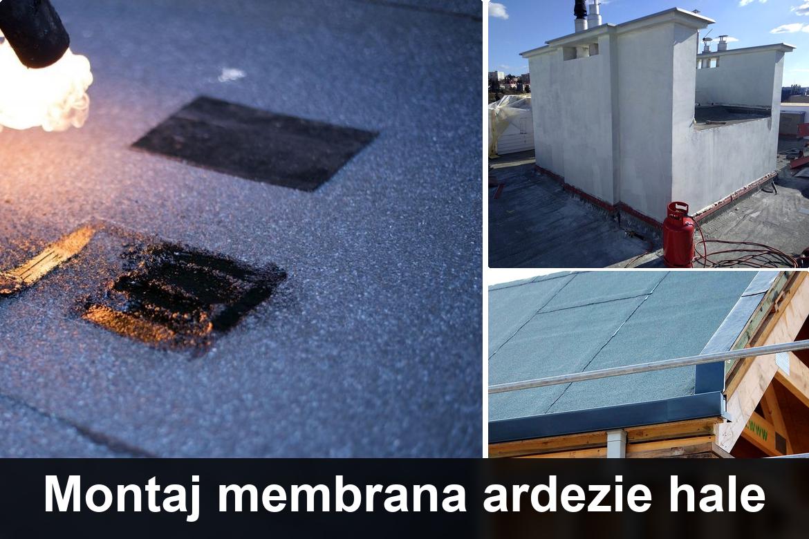 hidroizolatii terase pietrosani