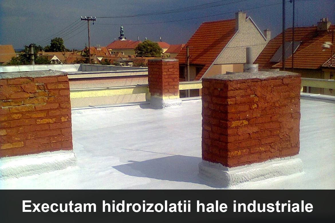 detaliu hidroizolatie terasa termosudabila