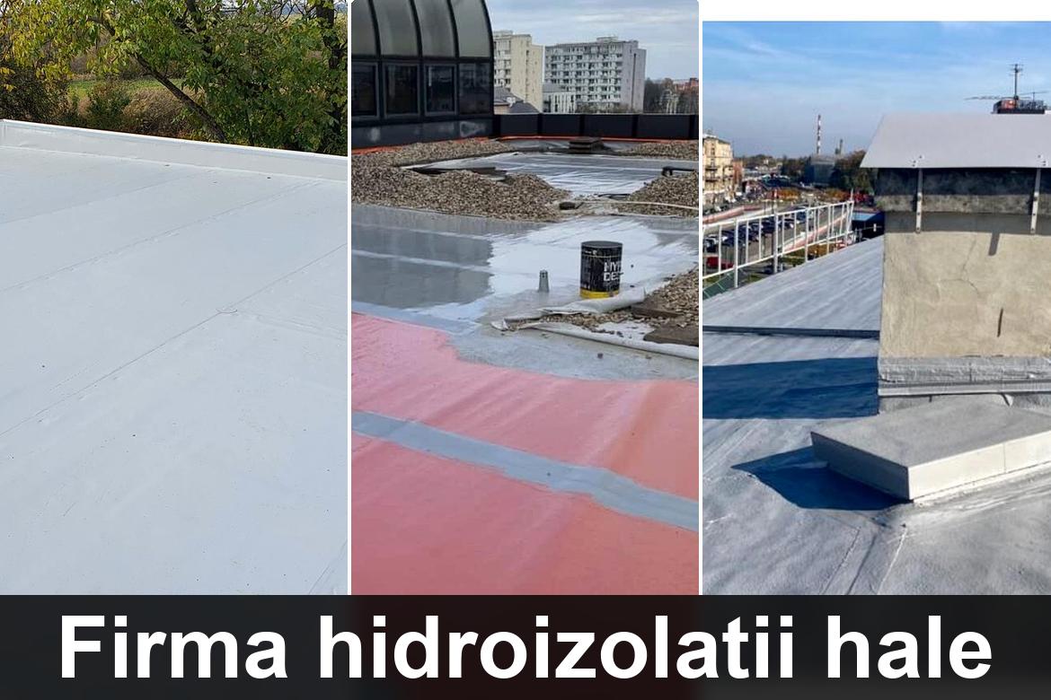 hidroizolatii terase umbraresti