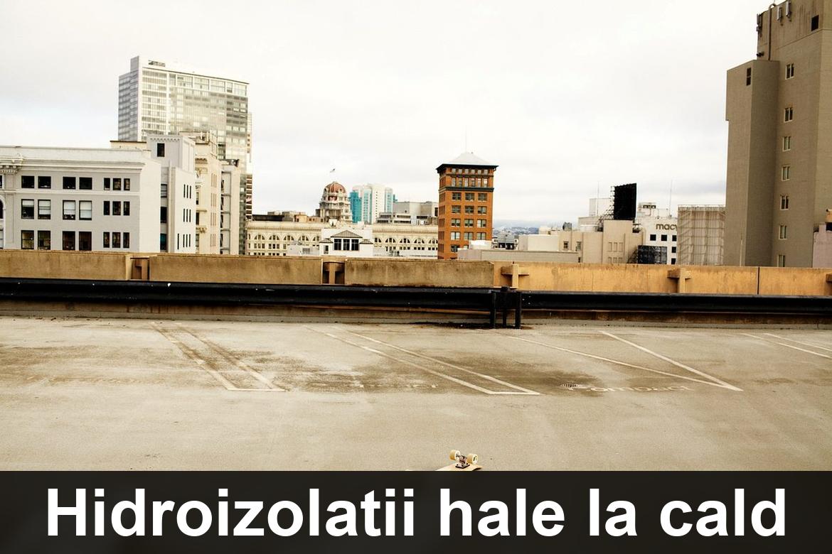 detaliu hidroizolatie terasa termosudabila