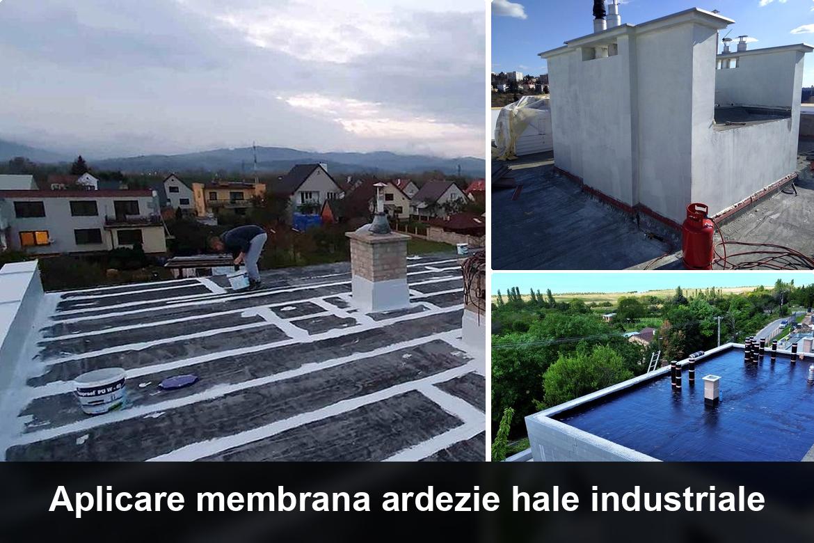 detaliu hidroizolatie terasa termosudabila