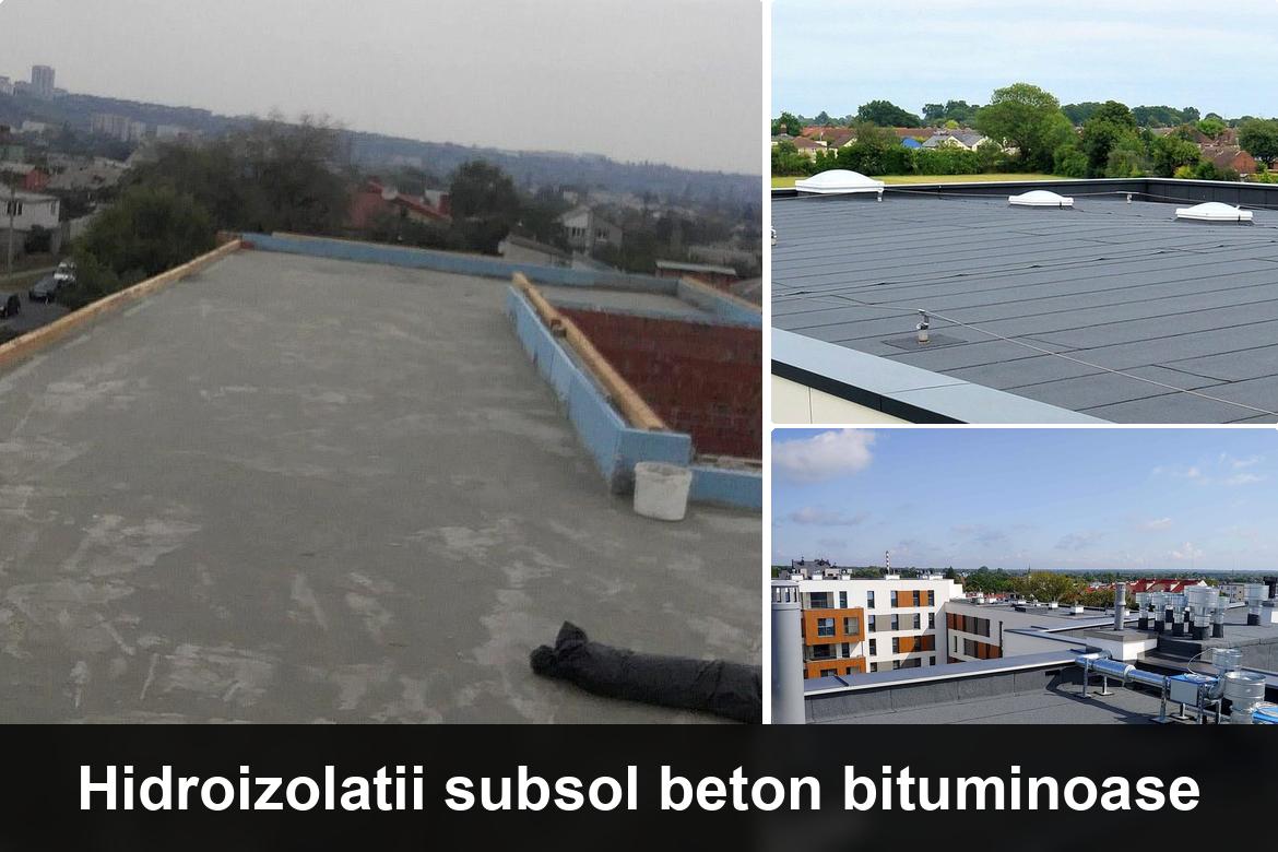 hidroizolatii terase voluntari